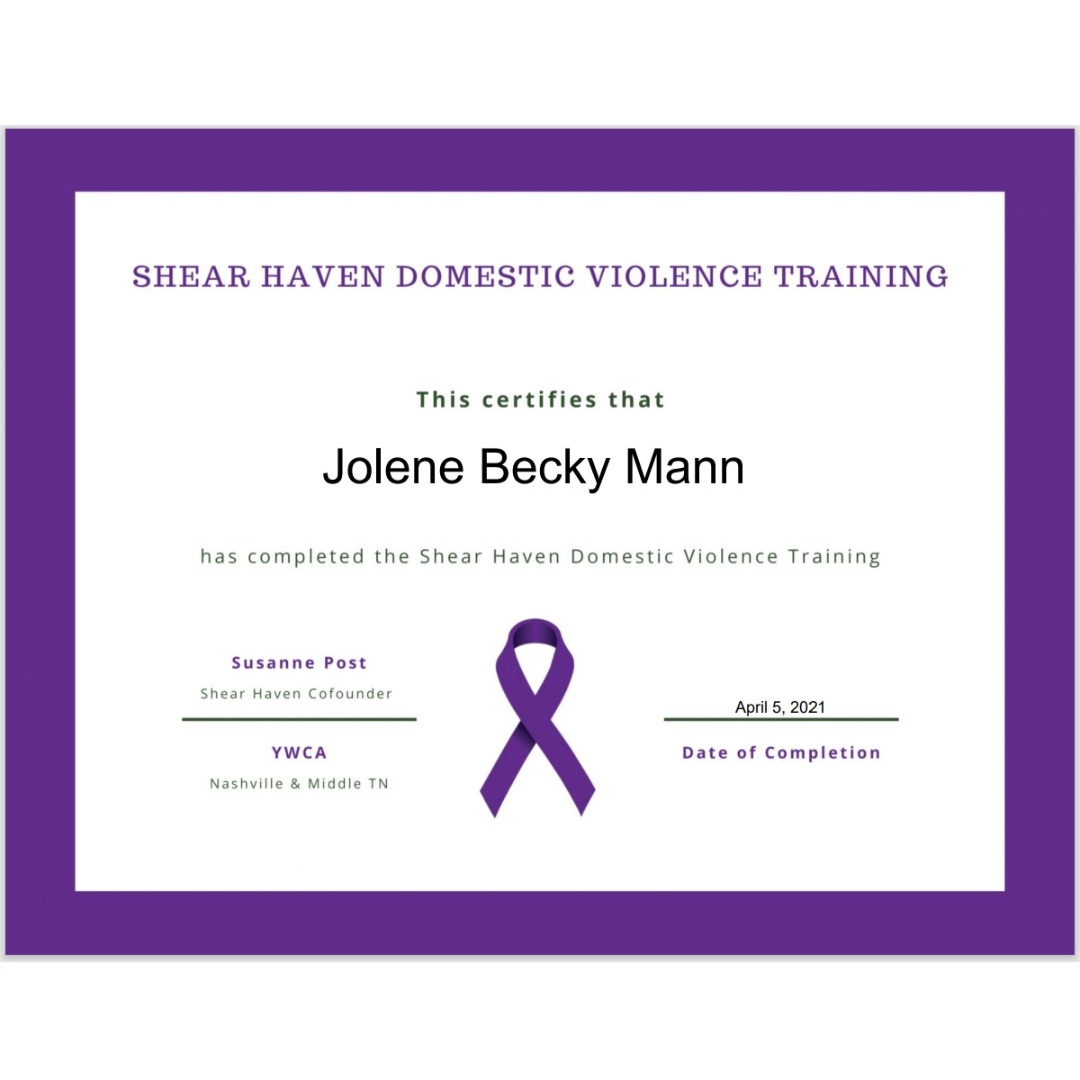 Domestic Violence Training